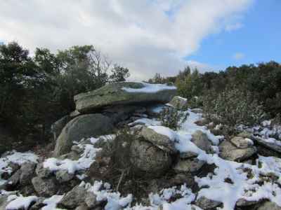 dolmen la llosa del cortal dels polls à arboussols