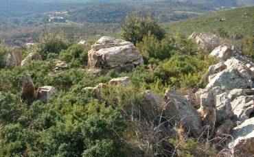 dolmen serrat d'en gely de Castelnou