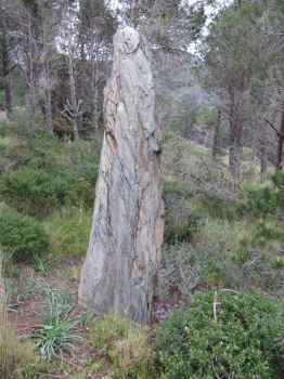 menhir sant salvador de cervera