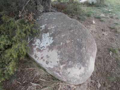 roche gravée du mas baixes à corneilla de conflent