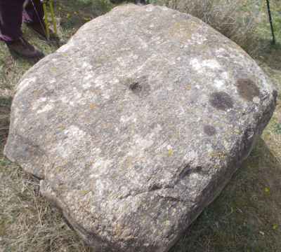roche gravée de Badebany 2 à corneilla de conflent