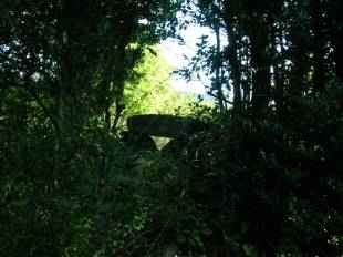 dolmen du pla del castella ou cova d'en rollan 1 de corsavy