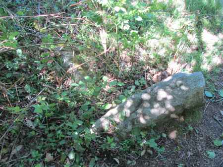 dolmen cova d'en Rottlan 2 à Corsavy