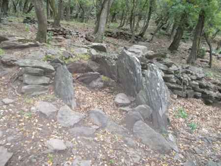 dolmen del mas gamarus à Espolla