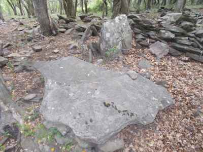 dolmen del mas gamarus à Espolla