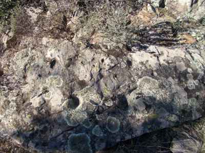 roche gravée pedres de corral d'en massanet 1  espolla