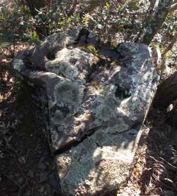 roche gravée pedres de corral d'en massanet 2 à espolla