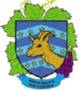 blason montesquieu des albères