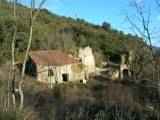 montferrer