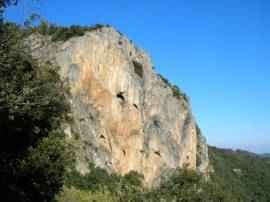 roca maler
