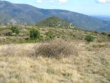 puig de l'escatiro