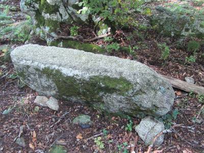 bornes forestières de Mosset