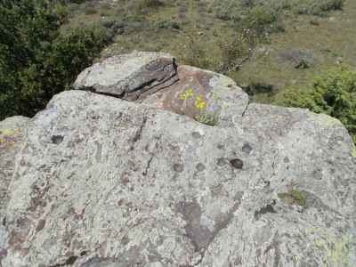 roche gravée roc de les mitjans 1 à Olette