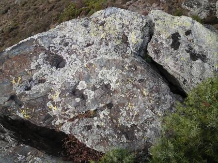 roche grave correc dels mitjans 03