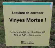dolmen vinyes mortes 1 de Pau