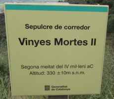 dolmen vinyes mortes 2 de Pau