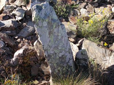 menhir taravaus de portbou