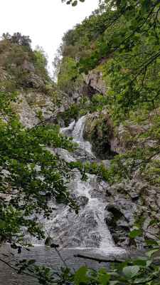 cascade Cal Sant