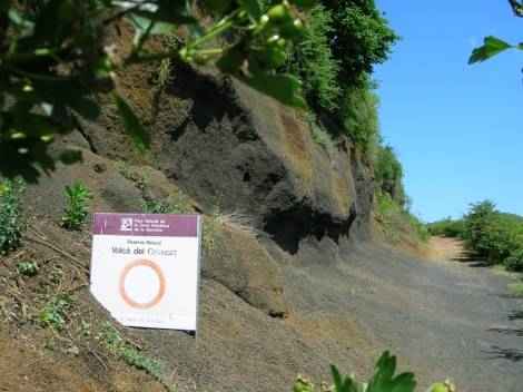 volcan croscat d'olot