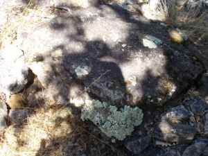 dalle du dolmen pla de tarters 2 à Serdinya