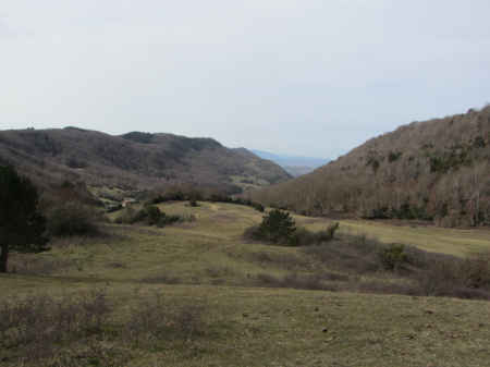 vallée de la rivière sals