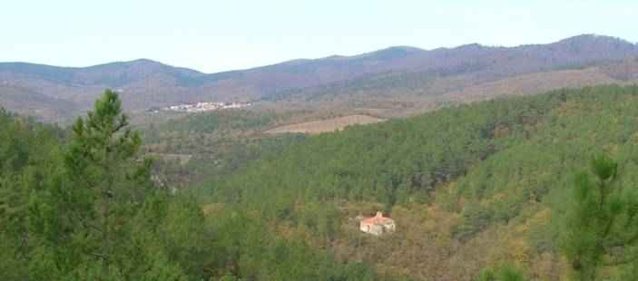 vallée de la desix