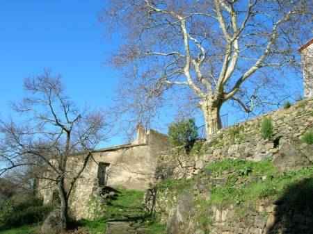saint jean de l'albere