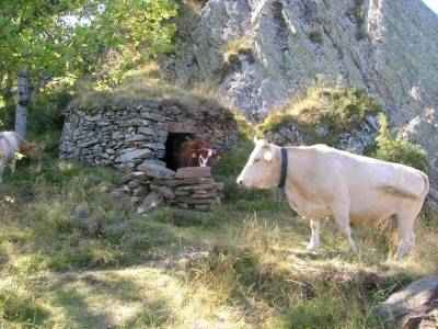 orry de la serre pastorale de llasseras