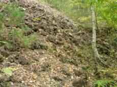 rasier des mines de fer de salver