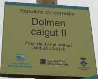 dolmen de caigut 2 à vilajuiga