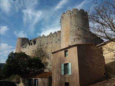 chateau de villerouge termenès