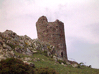 tour de la Massane.jpg