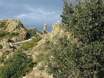 tour Madeloc.jpg