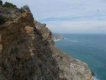 cap Rederis.jpg