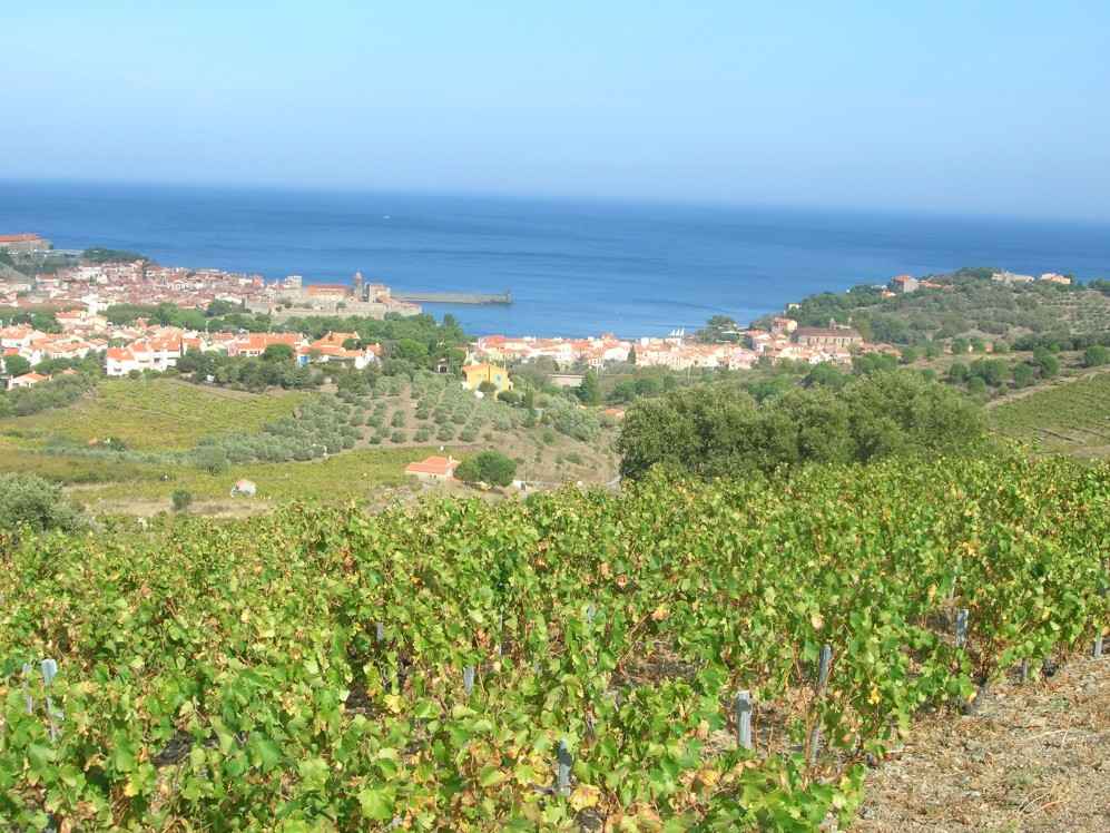 baie de Collioure