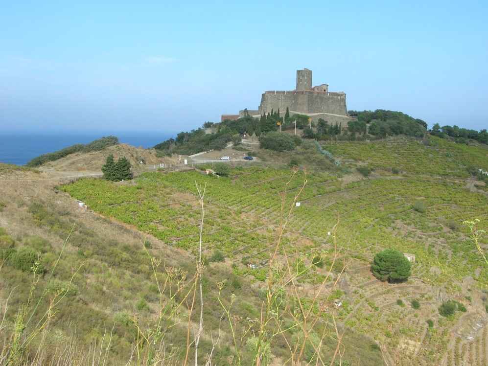 fort St Elme