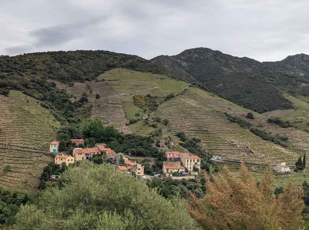 Le Rimbau.jpg