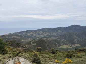 Banyuls sur mer et tourdeQuerroigt.jpg