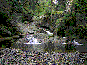 prise%20d'eau.jpg