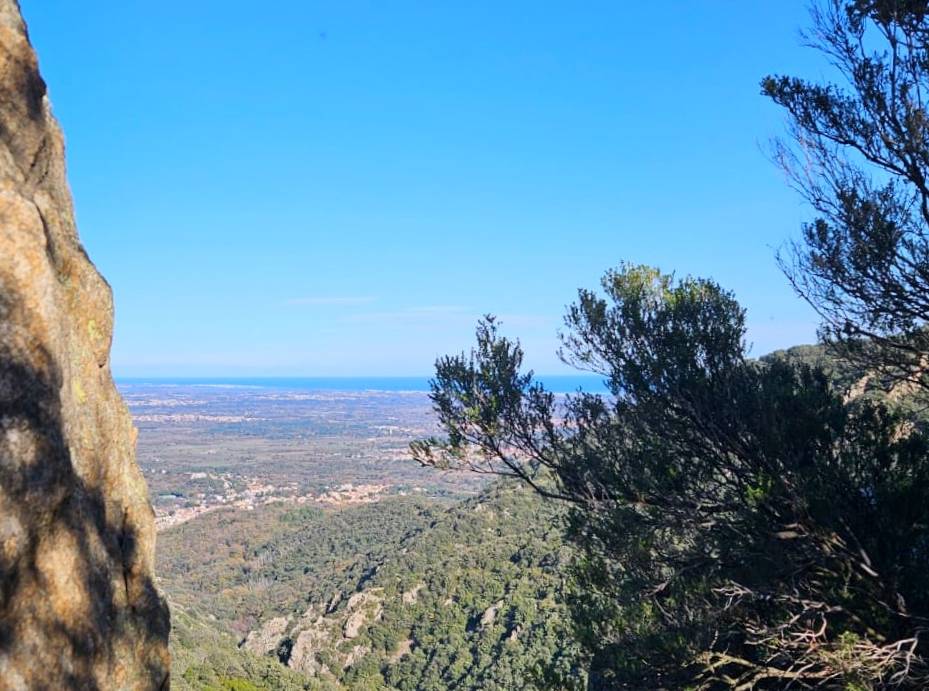 roussillon.jpg