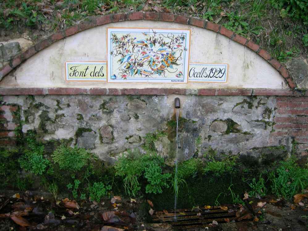 font dels ocells