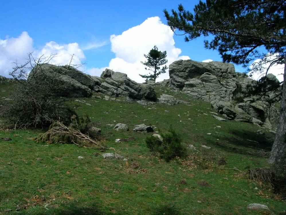 roc Foiros