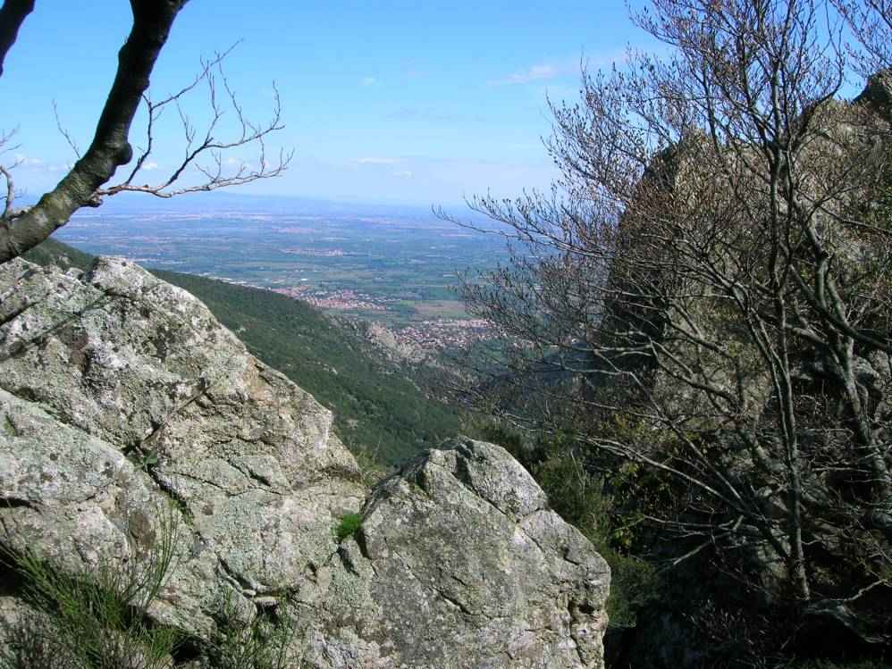 plaine de Roussillon
