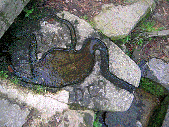 fontaine Leman de manel.jpg