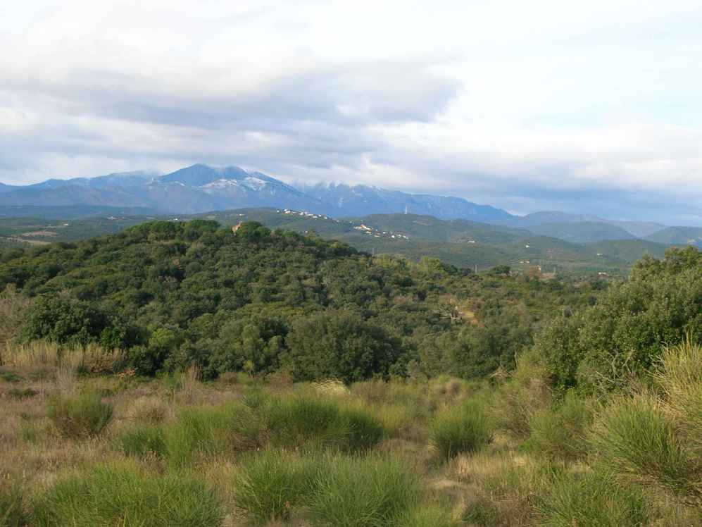 les aspres devant le pic du canigou