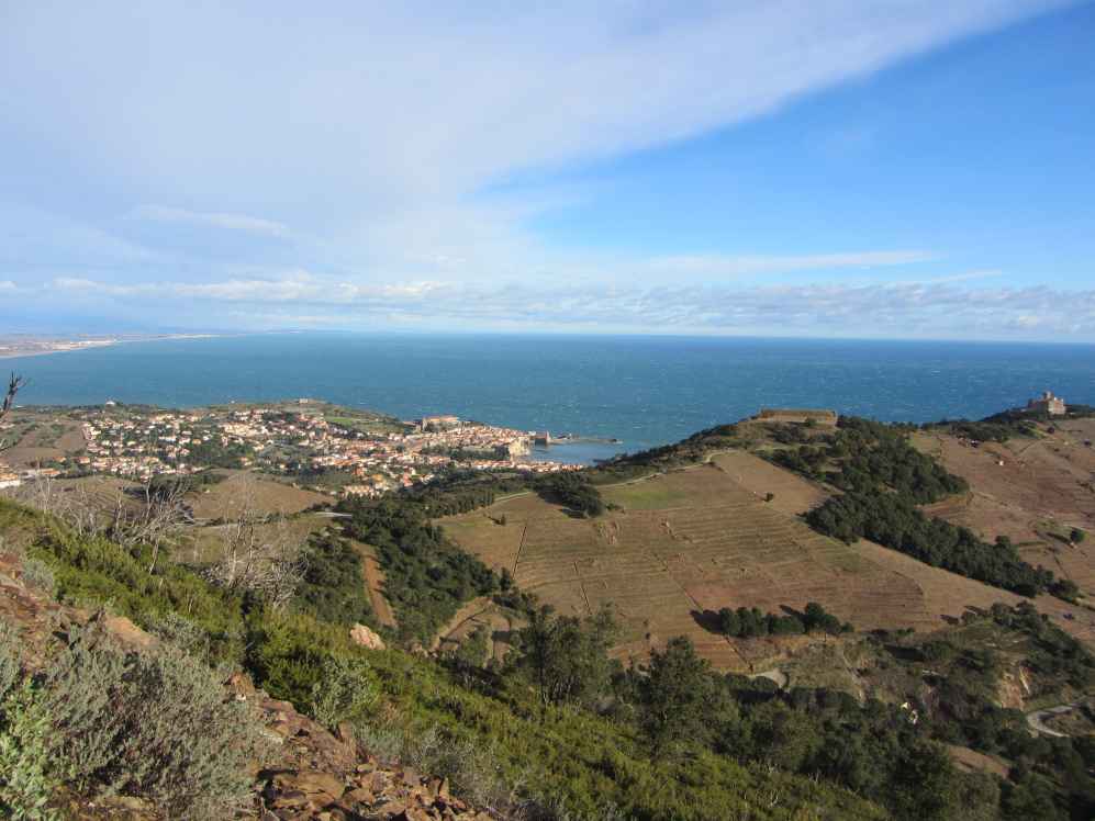 collioure