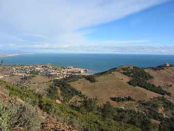 collioure.jpg