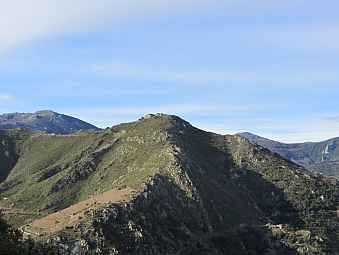 taillefer.jpg