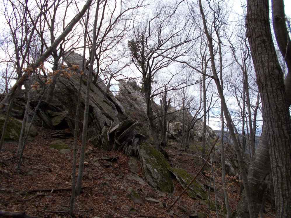 roc pruner
