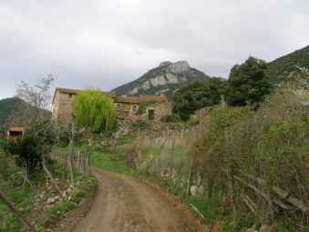 Can Nou et puig de Bassegoda.jpg
